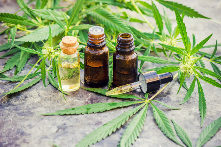 cannabis tinctures