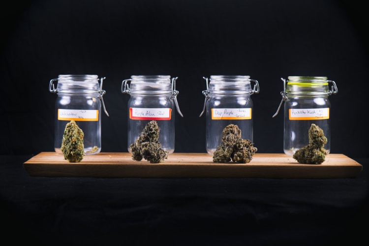dosing cannabis in jars
