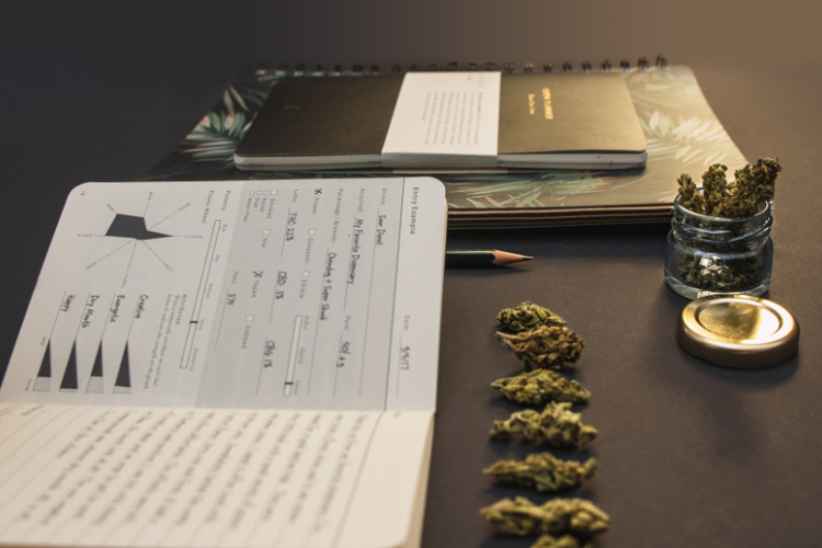 cannabis journal 2