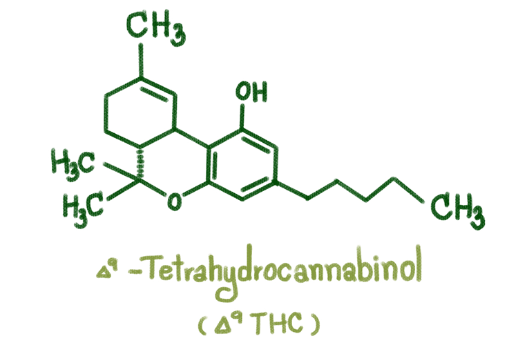 cannabinoids 2