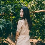 AAPI Owned Cannabis Brands You Should Know