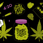 Best 420 Deals Los Angeles The Higher Path